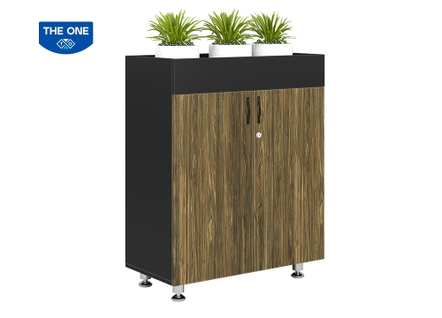 TỦ BRIGHT BRI1000-2T2